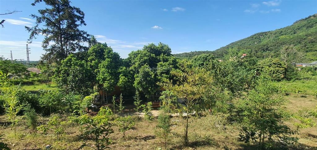 Tôi cần bán lô góc 1100m siêu đẹp thôn dy, ba vì. mặt đường nhựa view đồi núi ruộng đồng. có ảnh