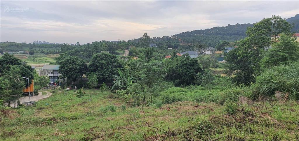 Tôi cần bán lô góc 1100m siêu đẹp thôn dy, ba vì. mặt đường nhựa view đồi núi ruộng đồng. có ảnh