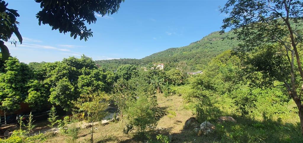 Tôi cần bán lô góc 1100m siêu đẹp thôn dy, ba vì. mặt đường nhựa view đồi núi ruộng đồng. có ảnh