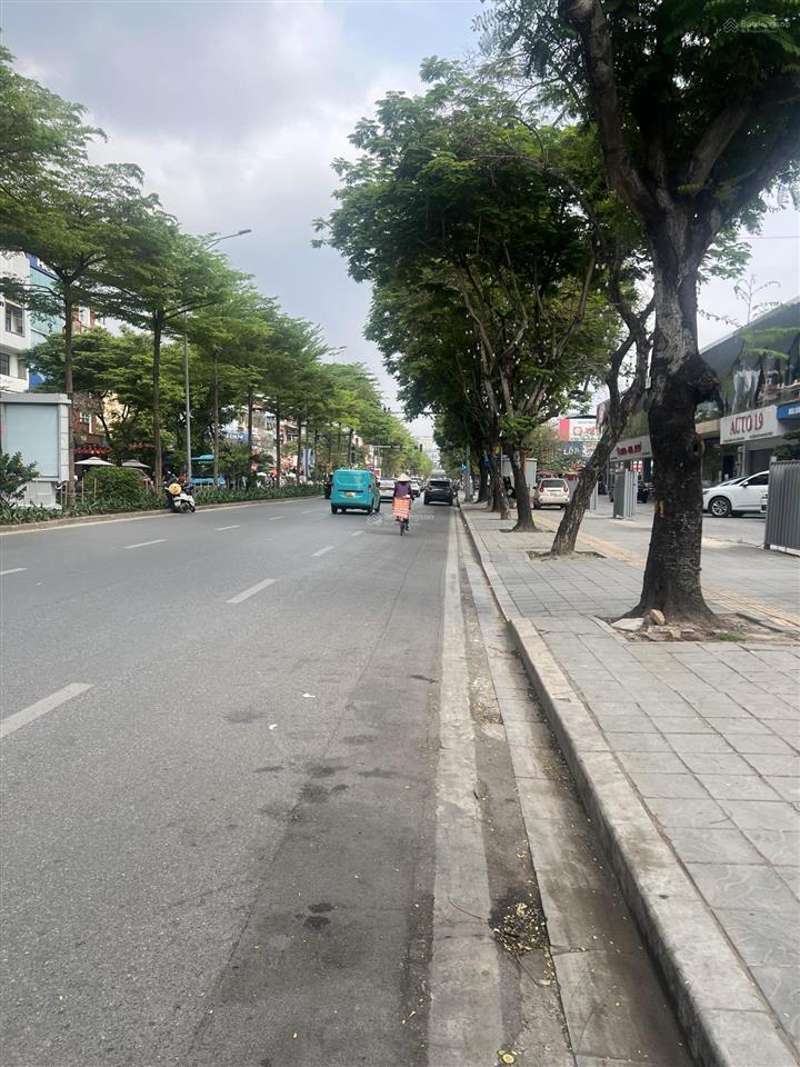 Bán nhà mặt phố nguyễn khả trạc, diện tích 50m, xây 5 tầng, vỉa hè rộng, kinh doanh sầm uất