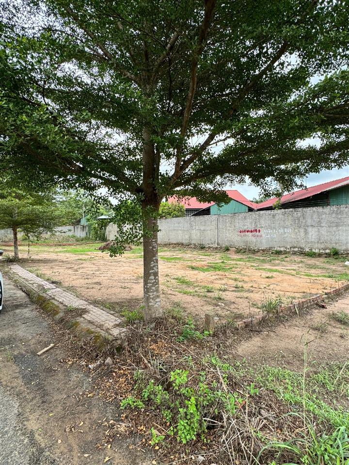Bán đất tại kcn long đức an phước, long thành, đồng nai, 1,55 tỷ, 95 m2