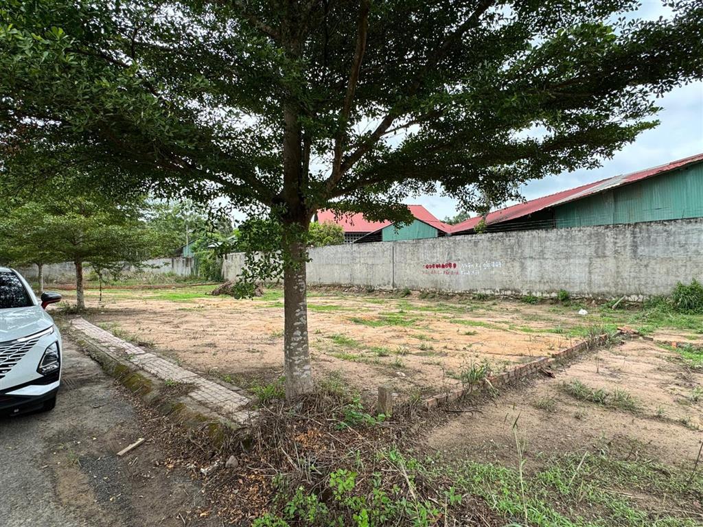 Bán đất tại kcn long đức an phước, long thành, đồng nai, 1,55 tỷ, 95 m2