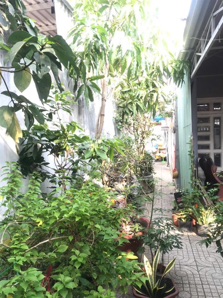 Bán nhà mặt tiền dt 119m2 shr. đường số 42 xã tân thông hội