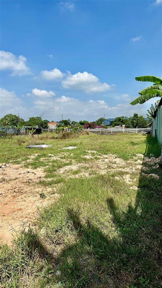 Cho thuê mặt bằng 1000m2 mặt tiền đường nhựa rộng 10m, gần chợ bà điểm