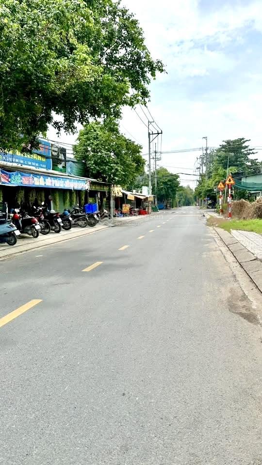Bán đất thổ cư 250m2 sổ hồng riêng mặt tiền nguyễn thị đành