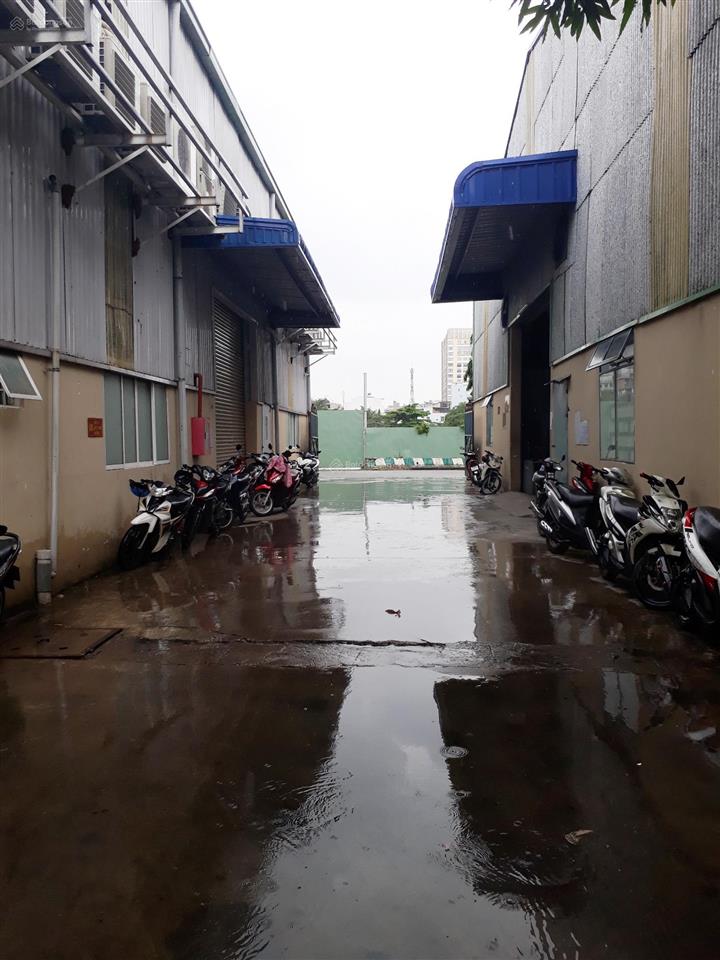 Cho thuê nhà kho rộng 250m2 độc lập riêng biệt, mặt tiền đường lớn rộng 8m xe container vào kho tốt