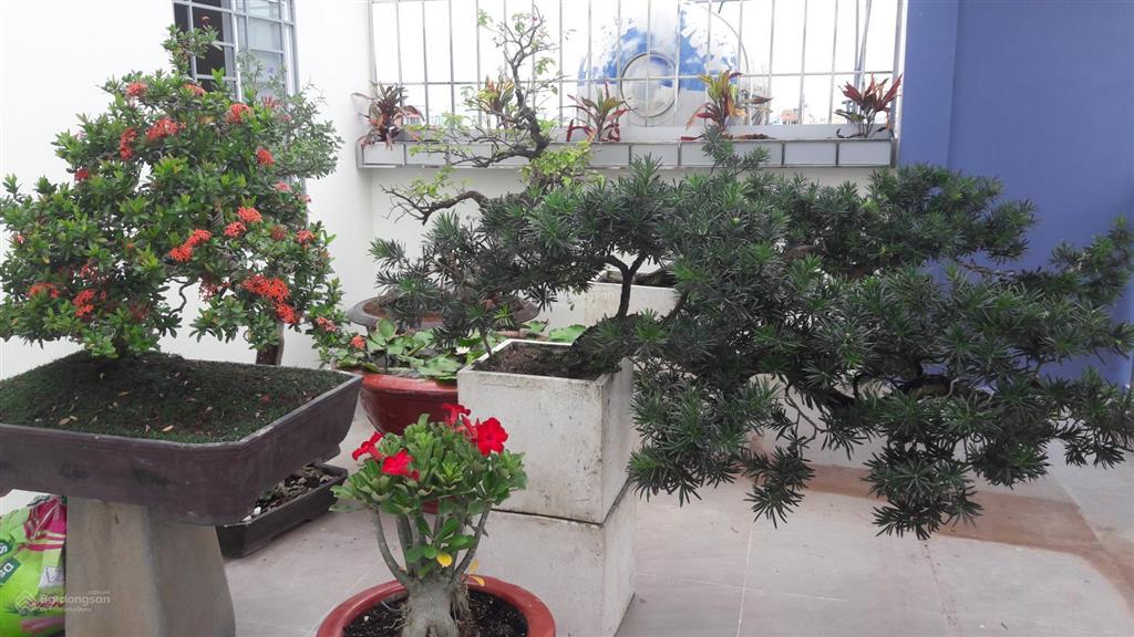 Còn phòng trống có ban công vào ở ngay giảm giá còn 2,4 tr/th