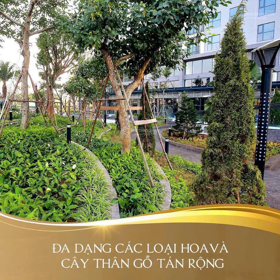 Cho thuê căn hộ mỹ đình pearl, giá ưu đãi 12 triệu vnd, 55m2, 1pn, 1wc, p. phú đô, q. nam từ liêm