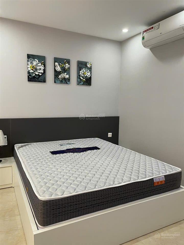 Cho thuê cc vinhomes d'capitale, 12 triệu vnd, 38m2, 1pn, 1wc tại trần duy hưng, cầu giấy, hà nội