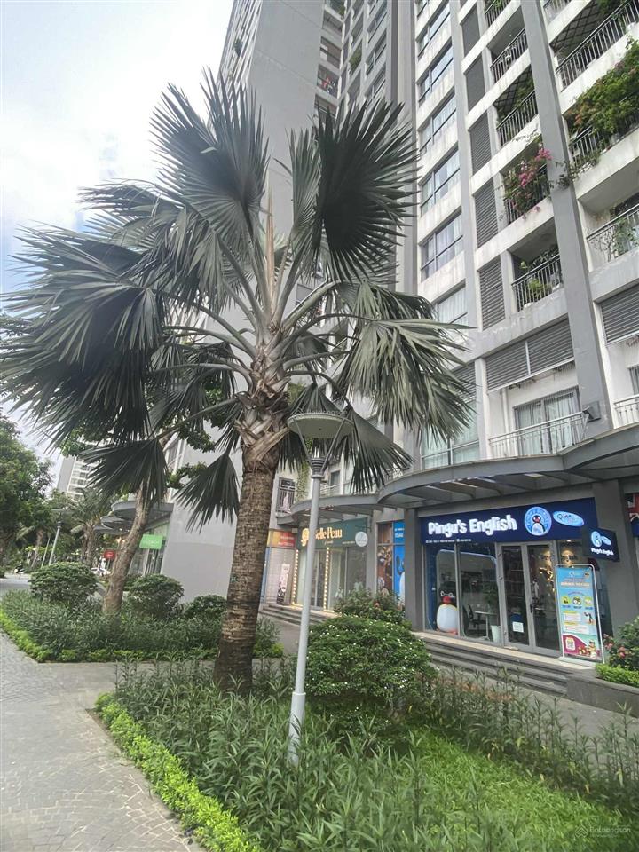 Siêu phẩm shophouse times city park 10 dt 230m2 đang cho thuê 1,5 tỷ/năm, giá 35 tỷ cực tốt