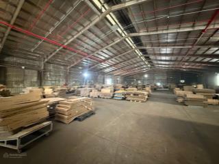 Cho thuê kho 6720m2 giá chỉ 570tr/tháng pccc tự động tại trung tâm thủ dầu một