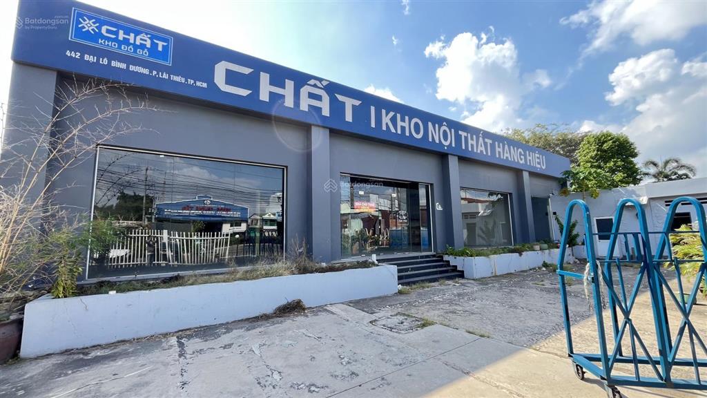 Cho thuê mặt bằng kinh doanh phù hợp showrooms mặt tiền đường đại lộ bình dương
