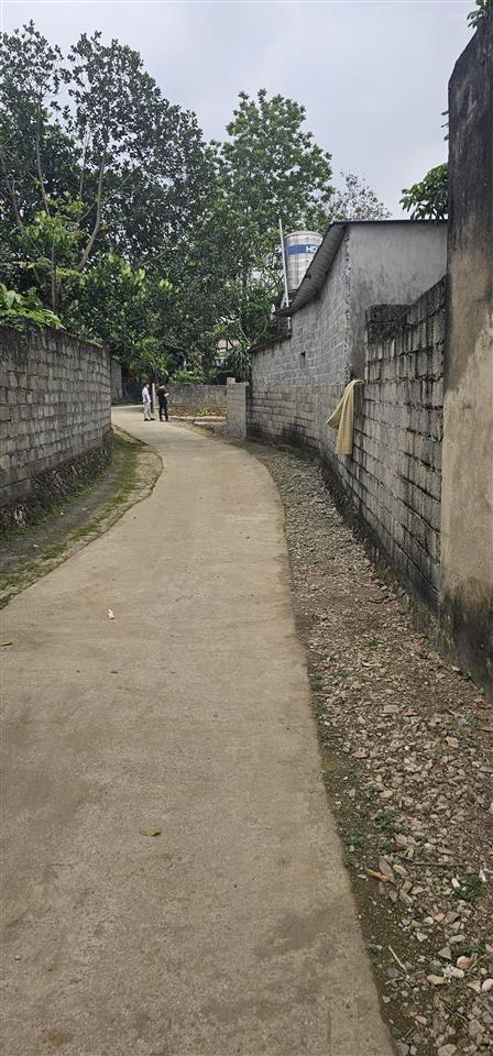295m tại thôn đồn vận xã liên sơn phú thọ
