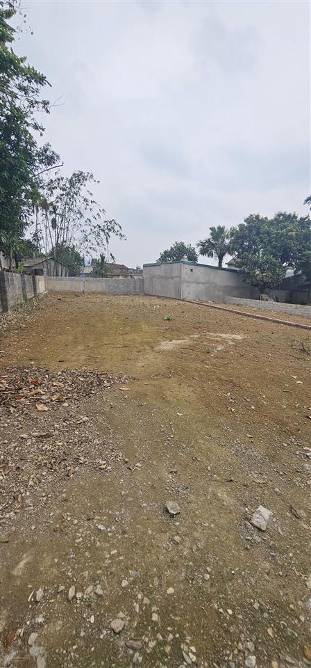 443m2 50m2 đất ở tại trục chính liên huyện tại gò mè, lương sơn