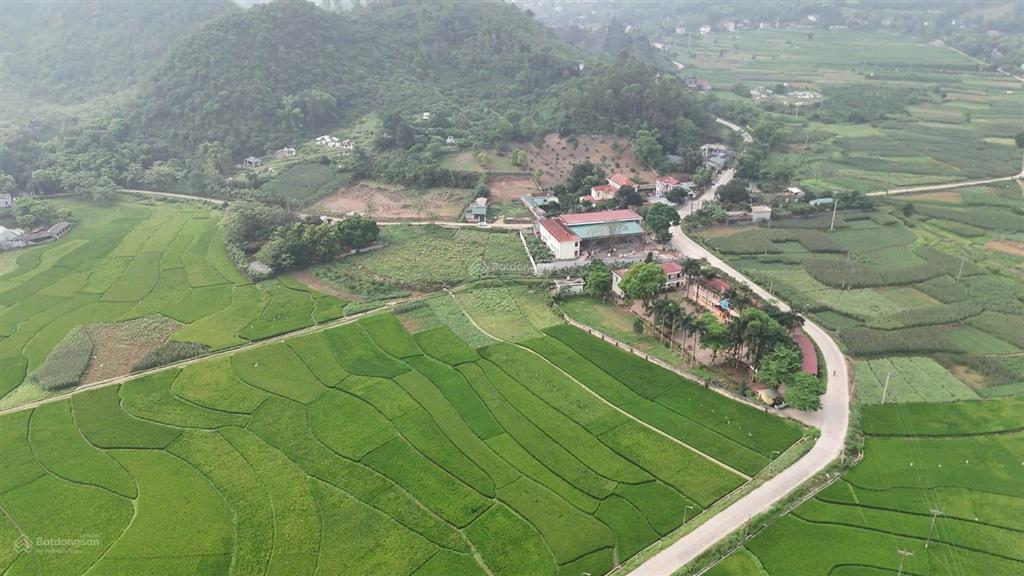 1382m/200m ont tại đá bạc liên sơn phù hợp nhà xưởng phân lô hay nghỉ dưỡng