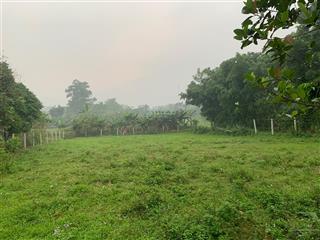 Chính chủ bán lô đất 1100 m2 có 2 mặt tiền, phù hợp làm homestay, second home tại xã yên bài