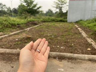 Trục chính kinh doanh, lõi vệ tinh hoà lạc