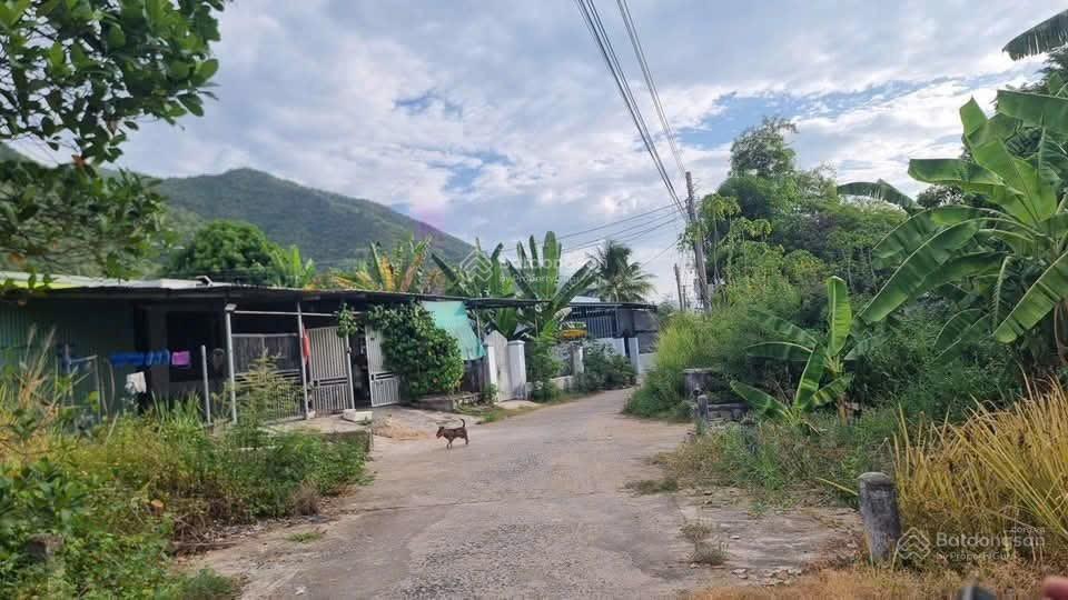 Bán lô đất thôn phước bắc xã vạn phước vạn ninh .đường nhựa 8m ngay khu dân cư