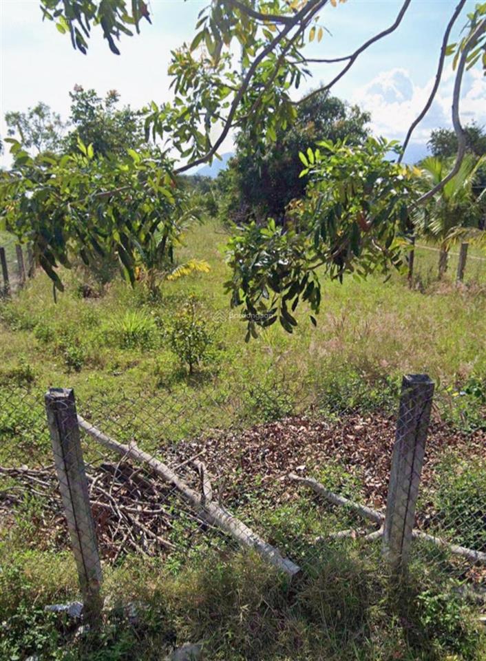 Bán gấp lô đất tân dân 2  vạn thắng  vạn ninh  diện tích 329.6m2