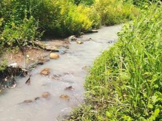 Chỉ với 650 triệu là đã sở hữu ngay mảnh vườn 5000m2 chỉ cách trung tâm phan thiết 15p di chuyển