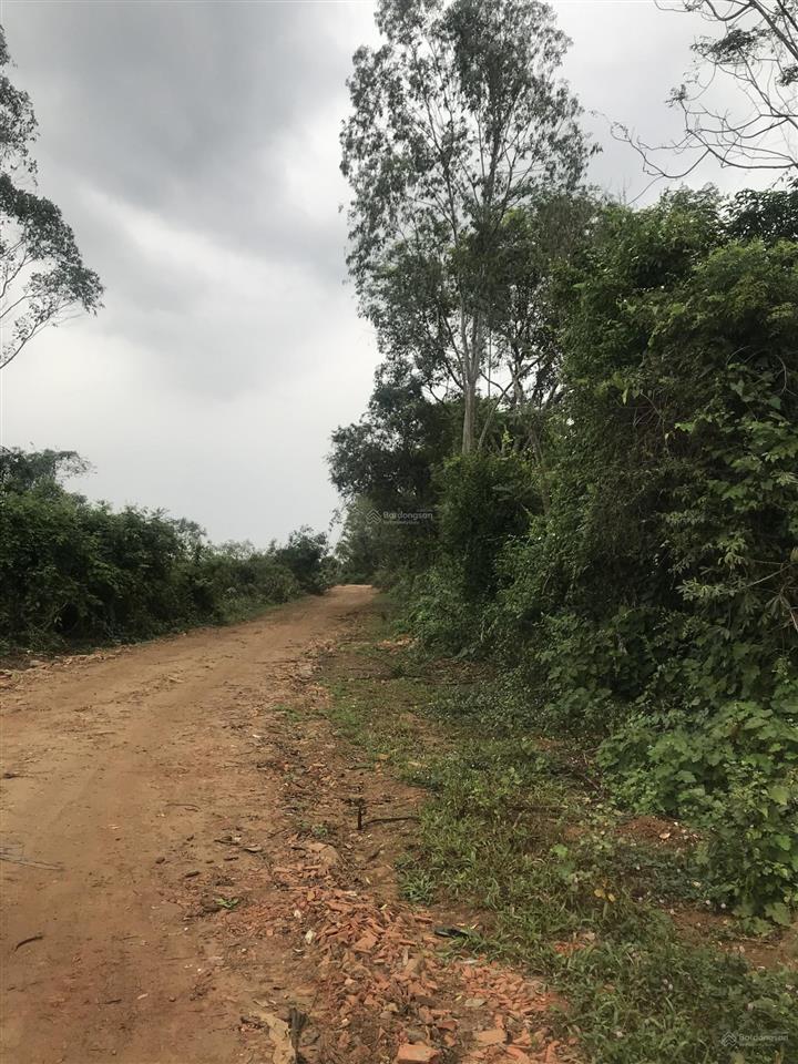 Cho thuê 6000m2 đất xã hoà lạc
