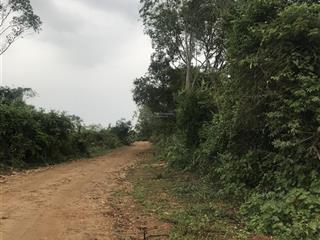 Cho thuê 10.000 m2 đất xã hoà lạc