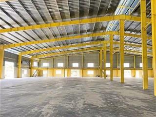 Cho thuê kho dt 5000m² long an giá rẻ