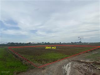 Quỹ đất lớn 2.041m2 tại thủ thừa long an  lý tưởng cho nhà vườn sinh thái & đầu tư dài hạn