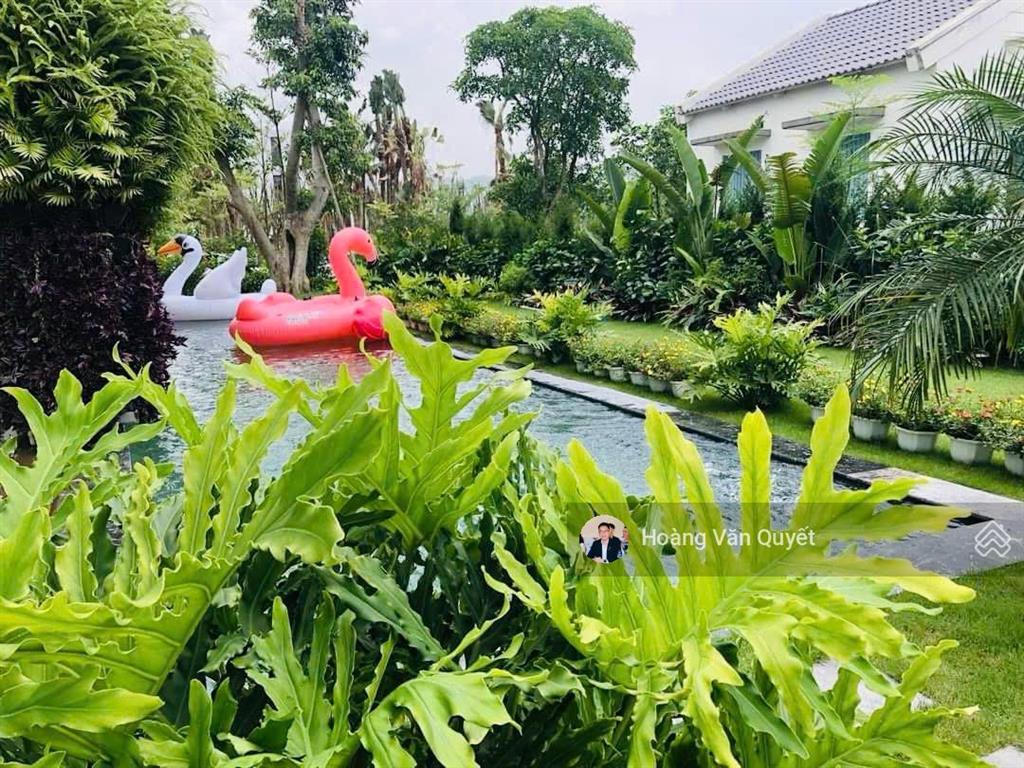 Bán biệt thự 455m2 flamingo đại lải resort sổ lâu dài full đồ giá cực tốt nhỉnh 20 tỷ. 0962 202 ***