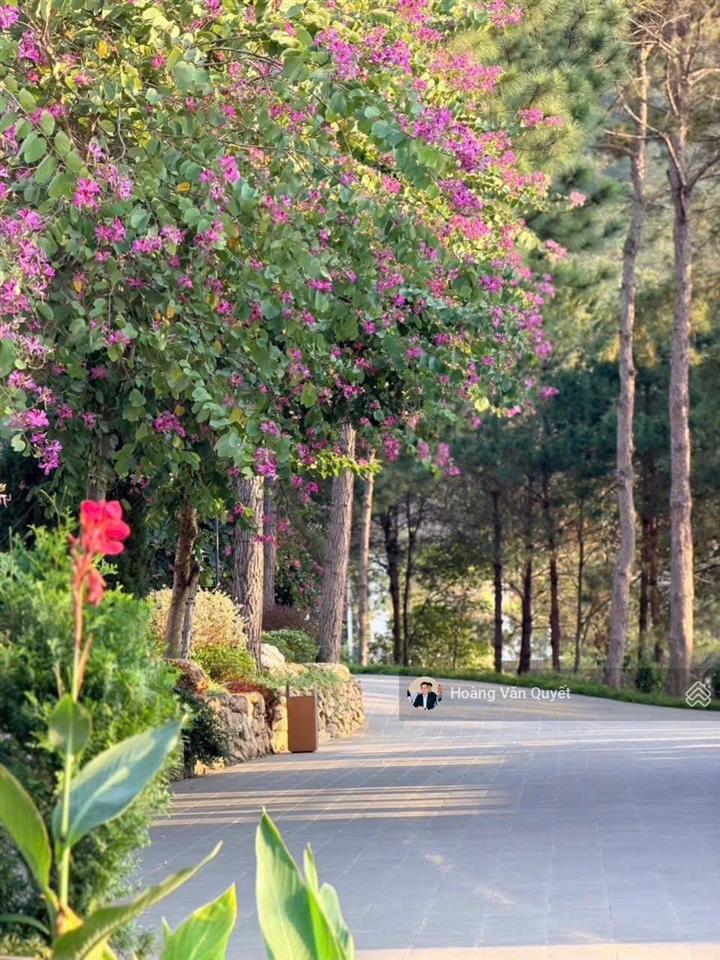 Chuyển nhượng biệt thự 190m2 thanh xuân valley nhận nhà hoàn thiện luôn, giá 13,6 tỷ.  0962 202 ***