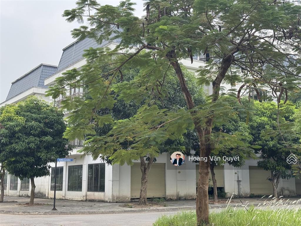 Bán liền kề 84m2 long việt riverside mê linh chỉ hơn 6 tỷ, xây thô 4 tầng.  0962 202 ***