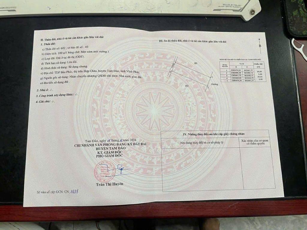 🚨HÀNG HIẾM – ĐẤT ĐẤU GIÁ BẢO PHÁC, CẠNH QUẢNG TRƯỜNG TAM ĐẢO DT100m MT5m KD Đỉnh 2,3 TỶ 0988296228