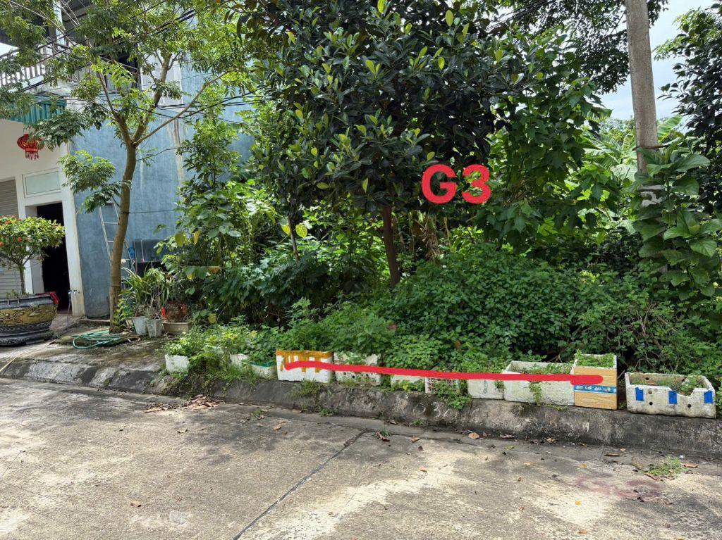 🔥 CHỈ 2,35 TỶ SỞ HỮU ĐẤT ĐẸP KHU MAY MẶC KIM LONG–GẦN IC4 CAO TỐC,TIỀM NĂNG TĂNG GIÁ MẠNH 0988296228