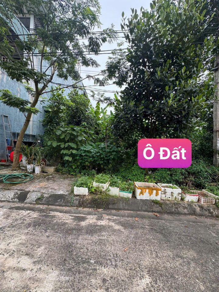 🔥 CHỈ 2,35 TỶ SỞ HỮU ĐẤT ĐẸP KHU MAY MẶC KIM LONG–GẦN IC4 CAO TỐC,TIỀM NĂNG TĂNG GIÁ MẠNH 0988296228
