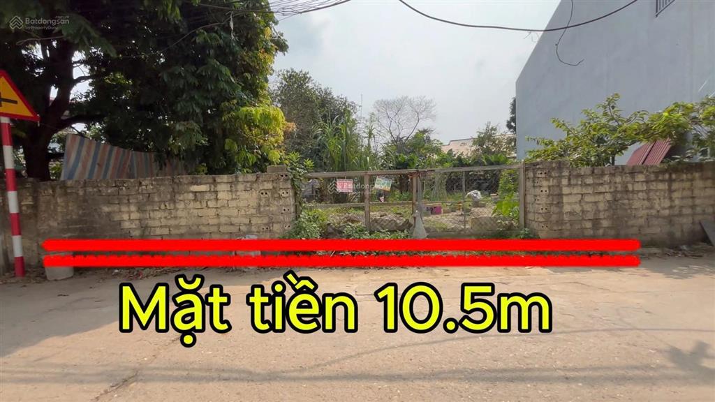 Đất đẹp sơn đông, sơn tây 236m2 mặt tiền 10.5m, đường ô tô tránh, sổ đỏ, giá 5 tỷ