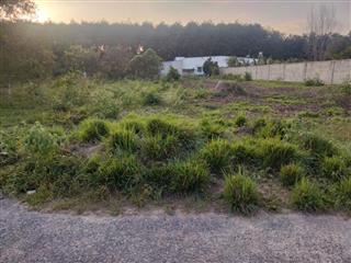 Đất đẹp, nở hậu, Suối Nhum, Hắc Dịch, Phú Mỹ, gần 600M2, Thổ Cư, chỉ 1.65T