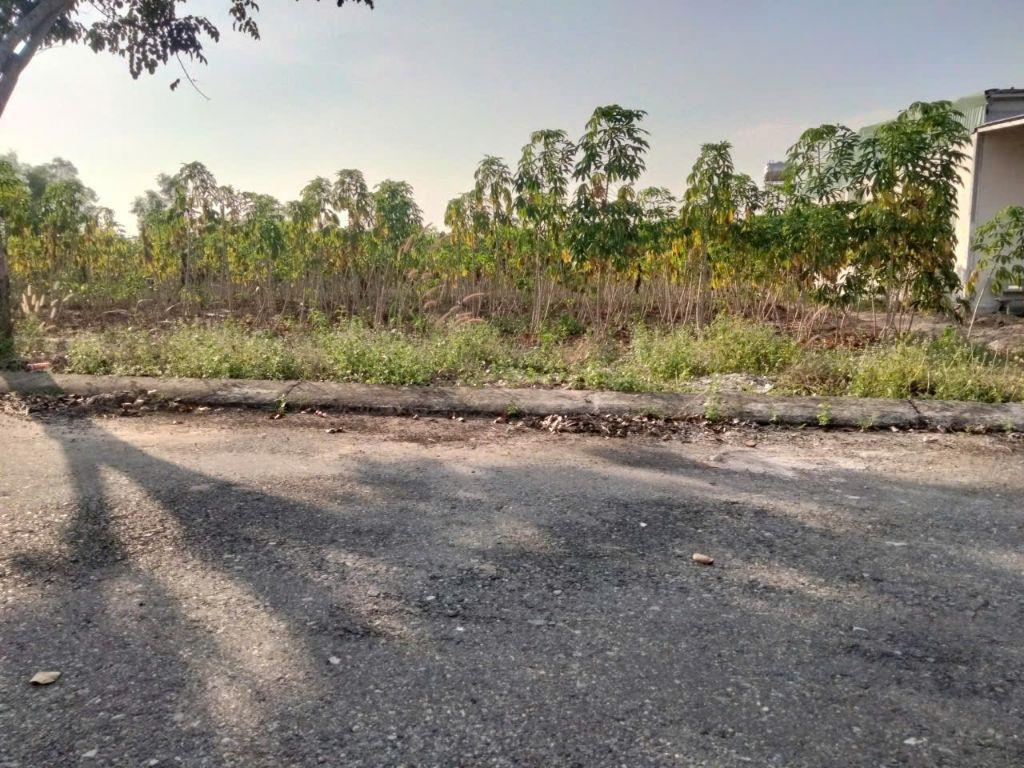 Siêu phẩm sau Công Viên Hắc Dịch, Phú Mỹ 300M2, Thổ Cư, chỉ 1.4T