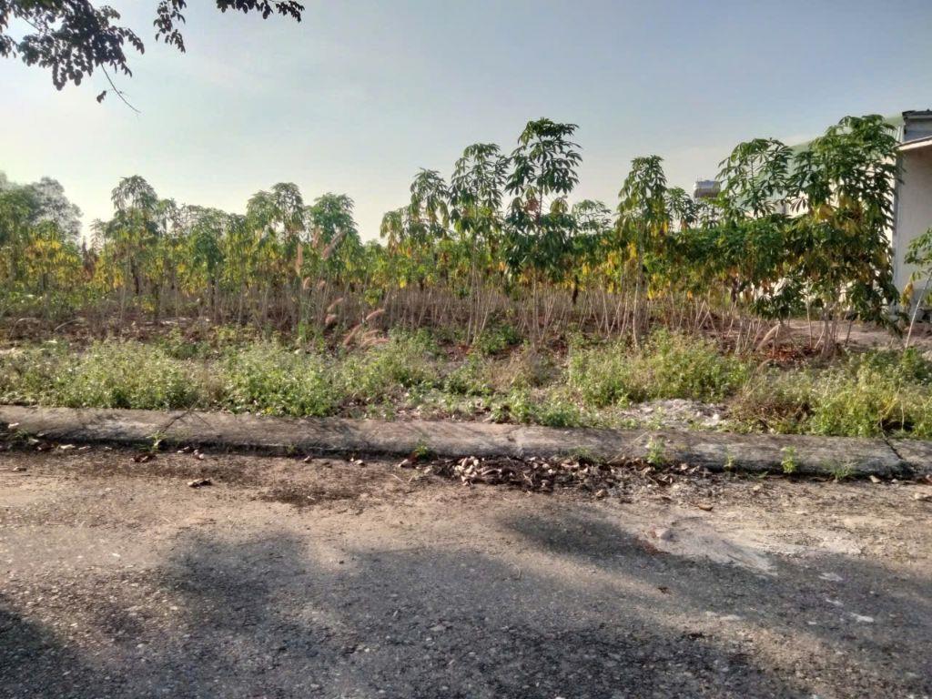 Siêu phẩm sau Công Viên Hắc Dịch, Phú Mỹ 300M2, Thổ Cư, chỉ 1.4T