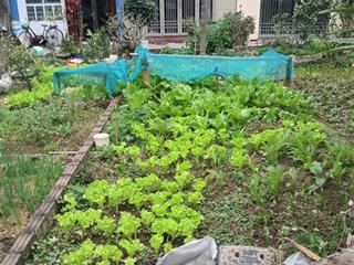 Cực hiếm đông mỹ oto thông chào 4,150ty