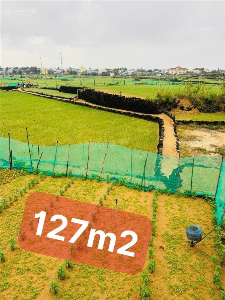 Đất vườn cạnh dân cư và trường học 127m2 qh đất ở giá 79tr/lô rẻ nhất đảo. sổ sẵn công chứng ngay