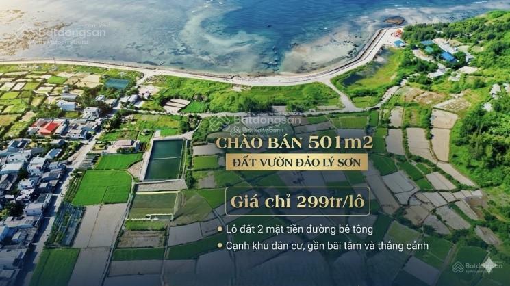 501m đất vườn đặc khu lý sơn. giá chỉ 299 tr/lô. cạnh dân cư hiện hữu. gần bãi tắm và thắng cảnh