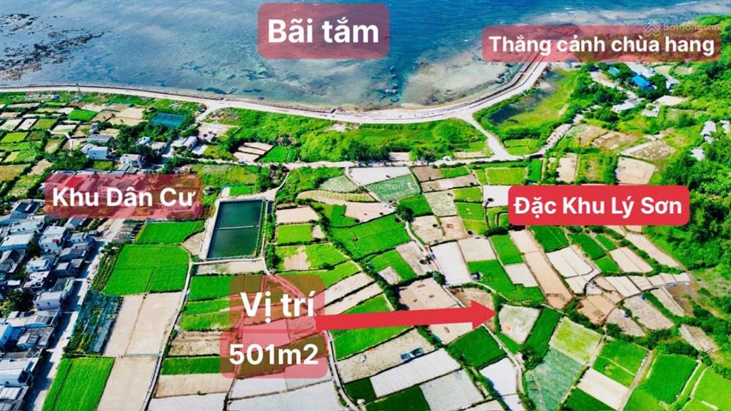 501m² đất vườn đặc khu lý sơn. giá chỉ 279tr/lô. cạnh dân cư hiện hữu. gần bãi tắm và thắng cảnh