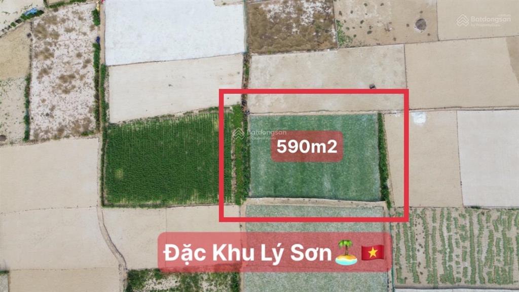 Quangvinh chào bán lô đất 589m2 đất vườn đặc khu lý sơn. giá rẻ tại đảo chỉ 500k/m2 quy hoạch tmdv