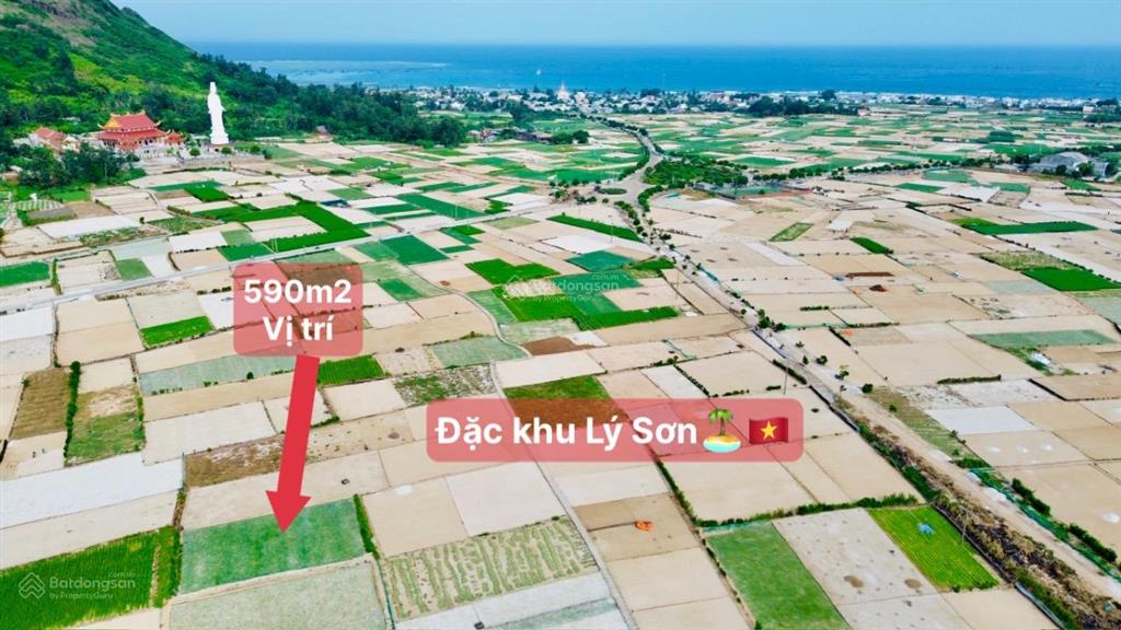 Quangvinh chào bán lô đất 589m2 đất vườn đặc khu lý sơn. giá rẻ tại đảo chỉ 500k/m2 quy hoạch tmdv
