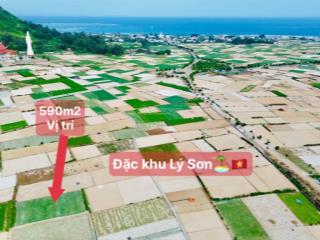 Quangvinh chào bán lô đất 589m2 đất vườn đặc khu lý sơn. giá rẻ nhất đảo chỉ 500k/m2 quy hoạch tmdv