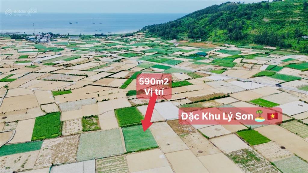 Quangvinh chào bán lô đất 589m2 đất vườn đặc khu lý sơn. giá rẻ tại đảo chỉ 500k/m2 quy hoạch tmdv