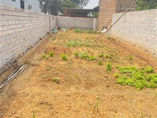 Rẻ nhất khu vực sen trì, bình yên 113m2 trục chính. giá chỉ 35tr/1m2. sát công nghệ cao hoà lạc