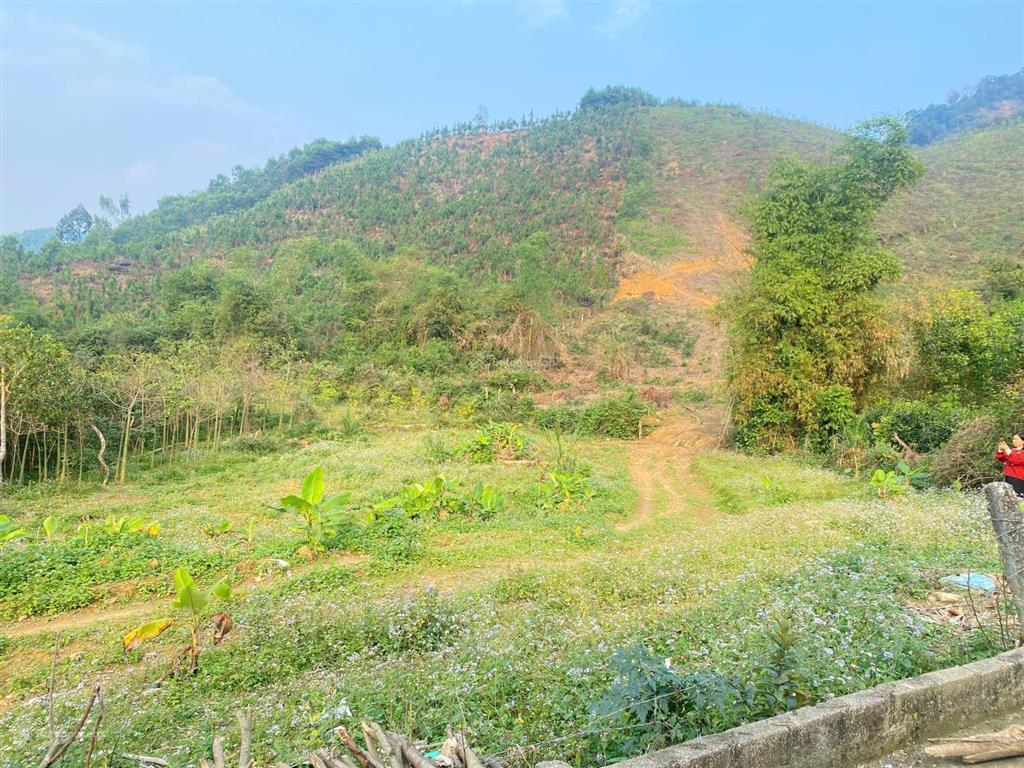 Siêu phẩm nghỉ dưỡng 1112m2 đất yên bình, thạch thất. giá chỉ có 6,5tr/1m.