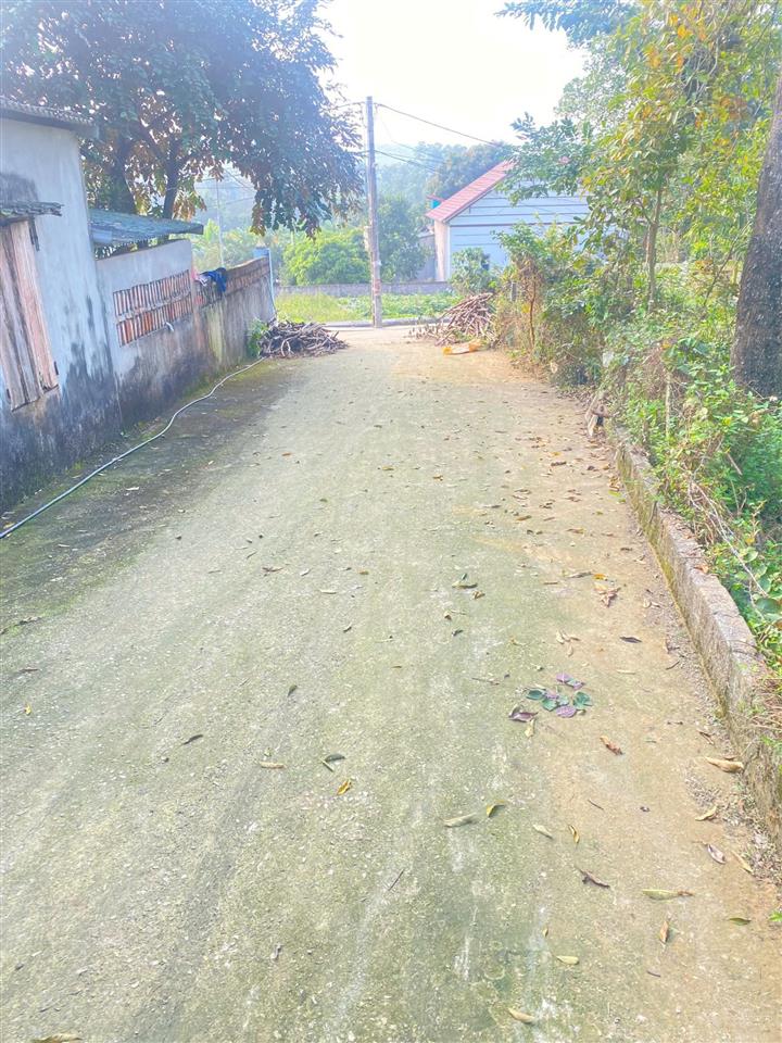 Siêu phẩm nghỉ dưỡng 1112m2 đất yên bình, thạch thất. giá chỉ có 6,5tr/1m.