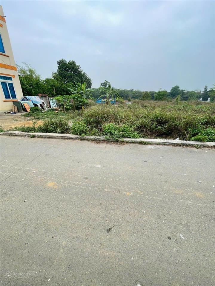 Chưa đến 3 tỷ có ngay đất đẹp tân xã, đường thông 2 ô tô tránh, gần khu đấu giá tân xã!